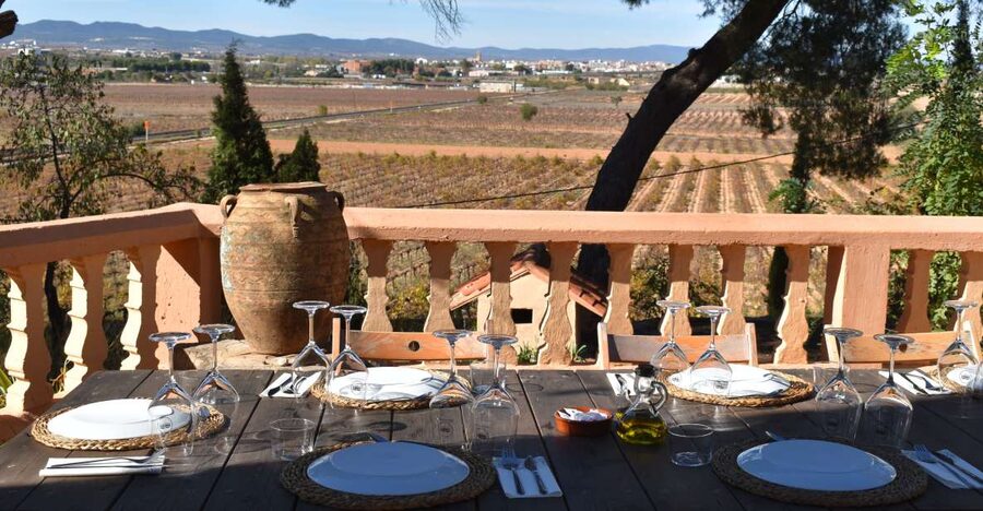 Valencia: Utiel-Requena Cave & Winery Day Trip with Tasting - Inside Murviedro’s 12th-century caves