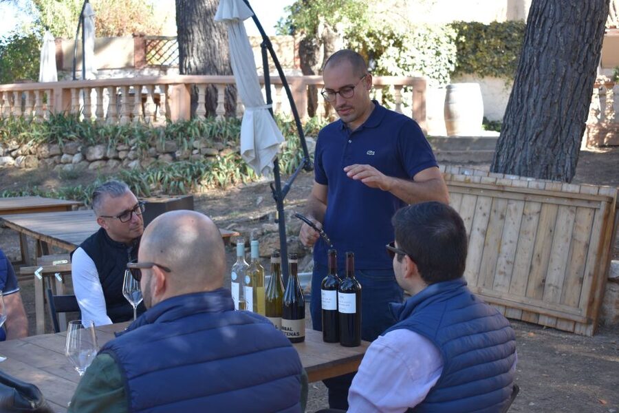 Valencia: Utiel-Requena Cave & Winery Day Trip with Tasting - The guides make a real difference