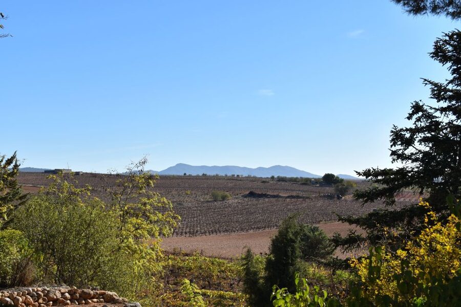 Valencia: Utiel-Requena Cave & Winery Day Trip with Tasting - Who should book this day trip?