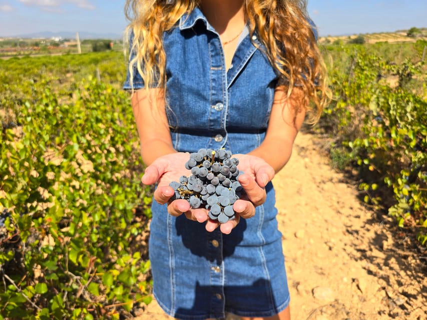 Valencia: Utiel-Requena Cave & Winery Day Trip with Tasting - A 20-minute walk through Requena