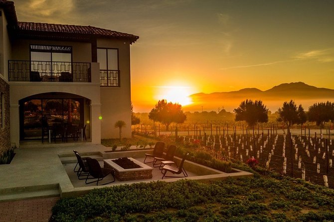 Valle de Guadalupe Premium Wine and Vineyard Wagon Tour - Key points to know before you book