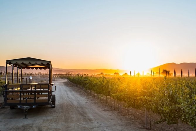 Valle de Guadalupe Premium Wine and Vineyard Wagon Tour - Starting at El Cielo Valle de Guadalupe