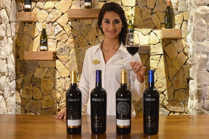 Valle de Guadalupe Premium Wine and Vineyard Wagon Tour - Is $79 a fair price?