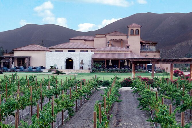 Valle de Guadalupe Premium Wine and Vineyard Wagon Tour - Who will enjoy this winery visit?