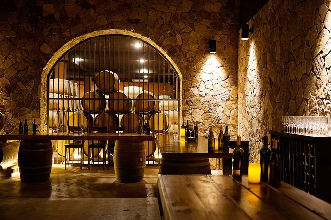 Valle de Guadalupe Premium Wine and Vineyard Wagon Tour - Practical advice for making the visit smoother