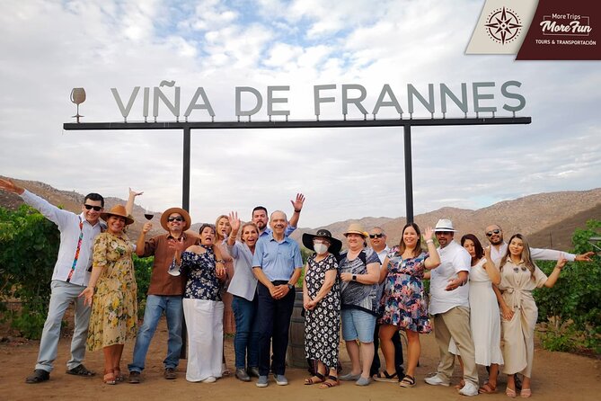 Valle de Guadalupe winery and brewery tours - Choosing wineries without wasting the day