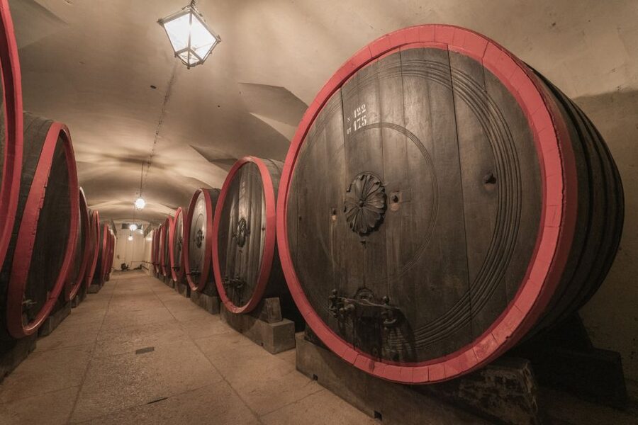 Valpolicella: Amarone Chateau Guided Tour and Wine Tasting - A seated tasting of at least four wines