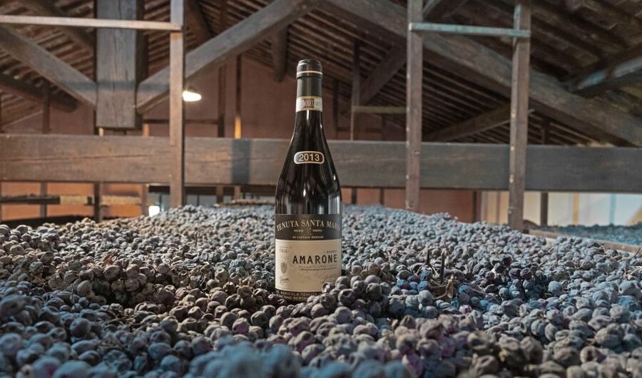 Valpolicella: Amarone Chateau Guided Tour and Wine Tasting - What the $42 price really buys you