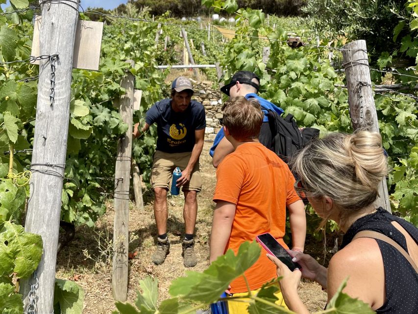 Vernazza: Panoramic Vineyard Trekking Tour w/ Wine Tasting - The climb from Vernazza to Eroico Vineyard