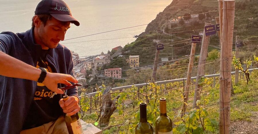 Vernazza: Panoramic Vineyard Trekking Tour w/ Wine Tasting - Three wines with pesto, focaccia, and local snacks