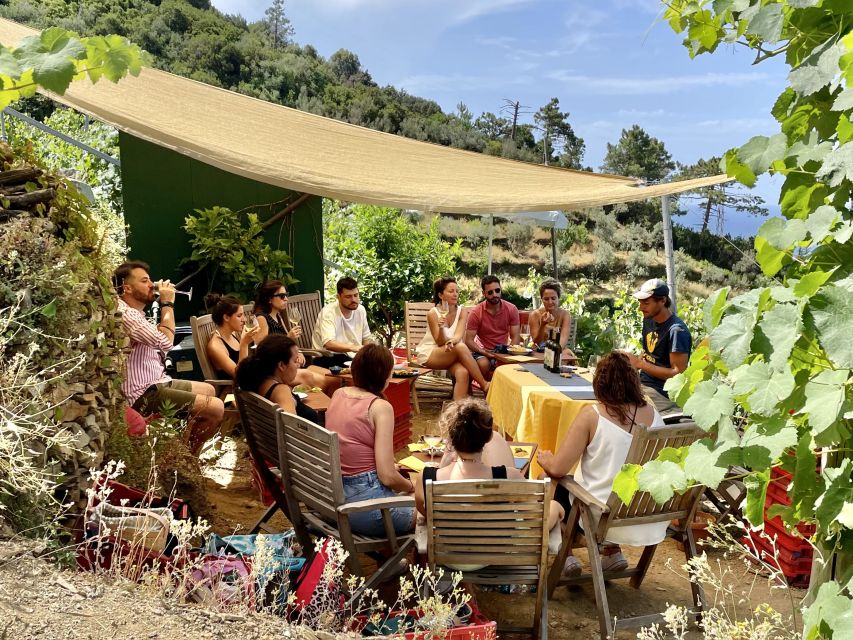 Vernazza: Panoramic Vineyard Trekking Tour w/ Wine Tasting - Who should book this tour?