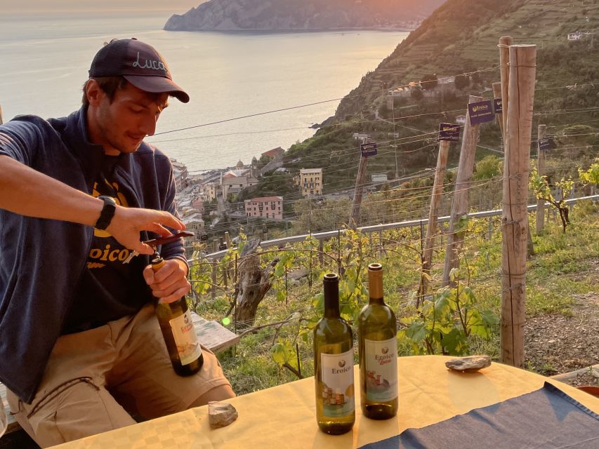 Vernazza: Panoramic Vineyard Trekking Tour w/ Wine Tasting - Eroico Vineyard and the story behind the vines