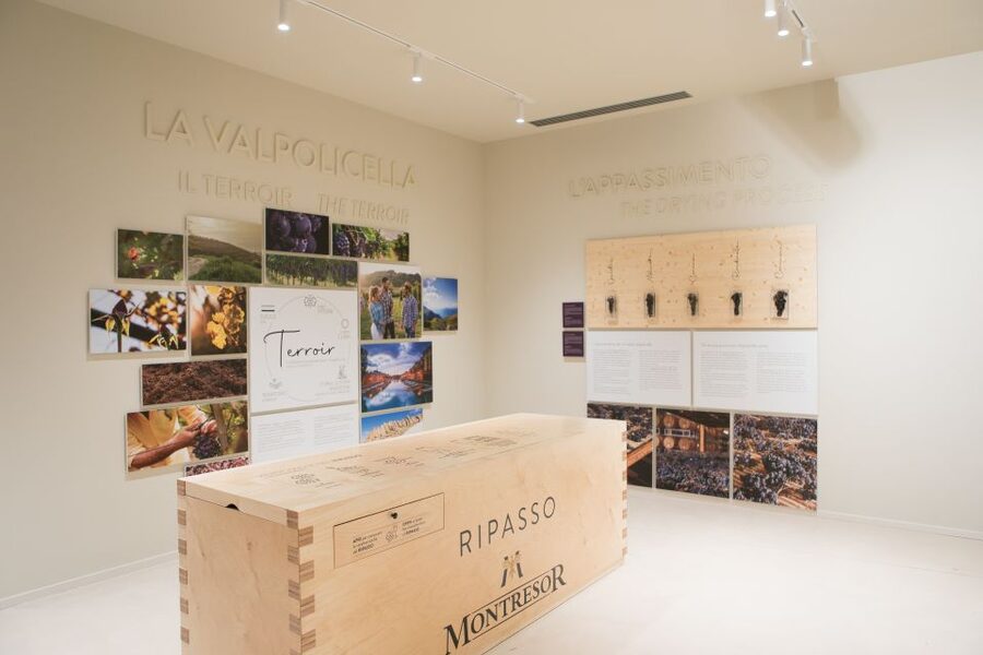 Verona: Montresor Winery Visit with Wine Tasting and Snacks - Why this winery visit feels different from a quick tasting