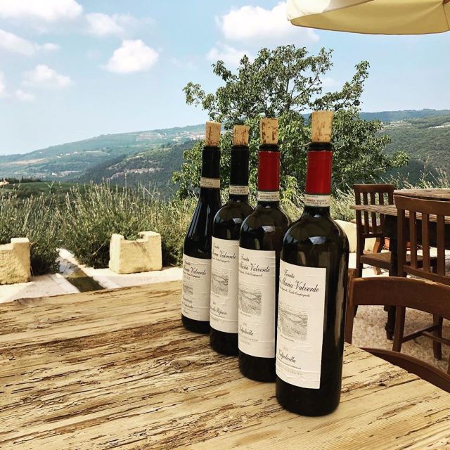 Verona: Vineyard and Winery Tour with Wine Tasting - Three wines and a generous local spread
