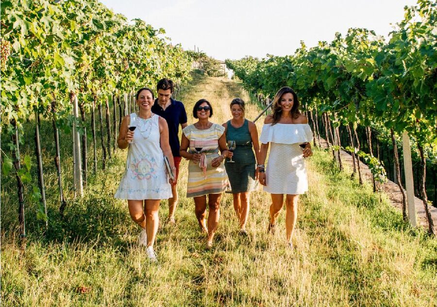 Verona: Vineyard and Winery Tour with Wine Tasting - Who will enjoy this winery visit most?