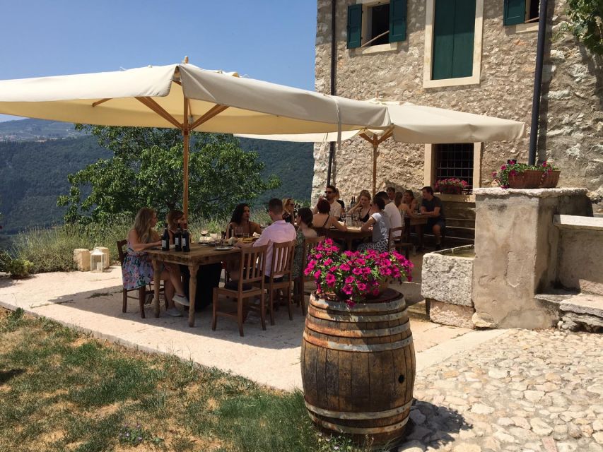 Verona: Vineyard and Winery Tour with Wine Tasting - Walking through a five-generation family estate