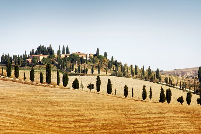 Vespa Tour with Lunch&Chianti Winery from Siena - Key points to know before you book