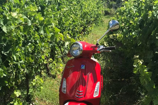 Vespa Tour with Lunch&Chianti Winery from Siena - Pickup, departure details, and group size