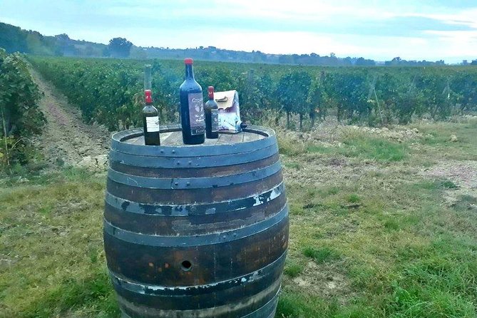Vespa Tour with Lunch&Chianti Winery from Siena - Is $168 a fair price?