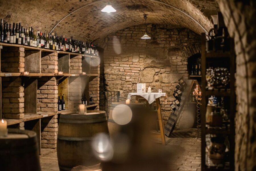 Vienna: Hidden Wine Cellars Tasting Experience - Why Vienna’s wine story begins beneath Stephansplatz