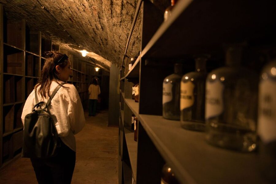 Vienna: Historical Pharmacy Cellar Guided Tour - Descending into Vienna’s pharmacy past