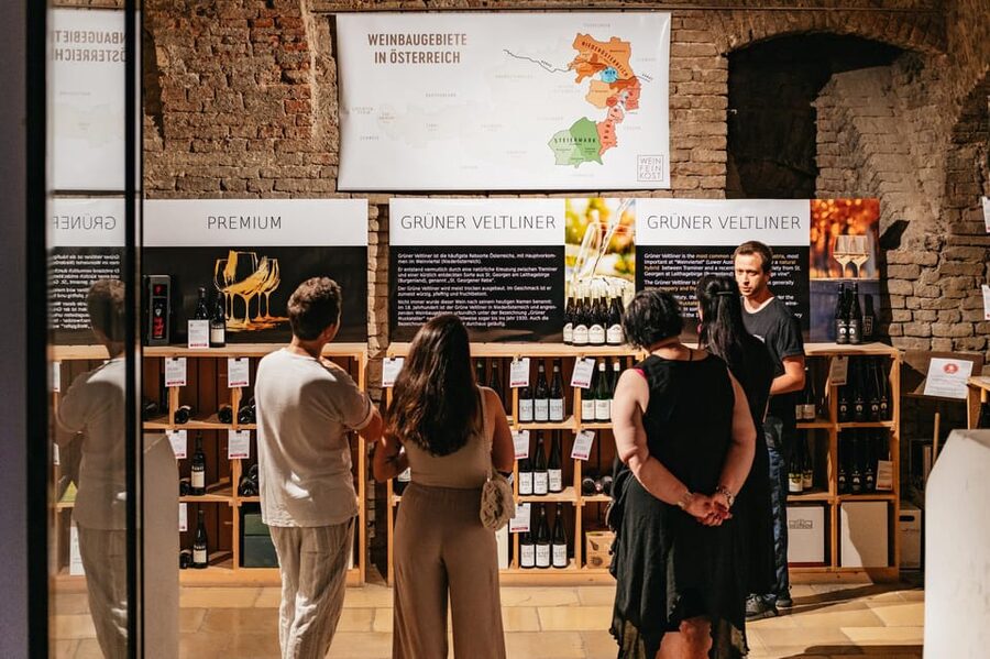 Vienna: Wine Tasting Experience in a Private Wine Cellar - Choosing the 2.5-hour cellar route