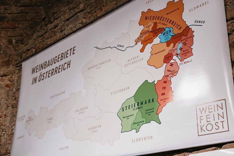 Vienna: Wine Tasting Experience in a Private Wine Cellar - Price, timing, and practical value