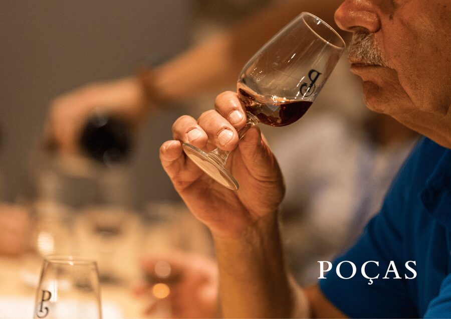 Vila Nova de Gaia: Winery Tour with 2 DOC Douro & 1 Port - Key points to know before you book