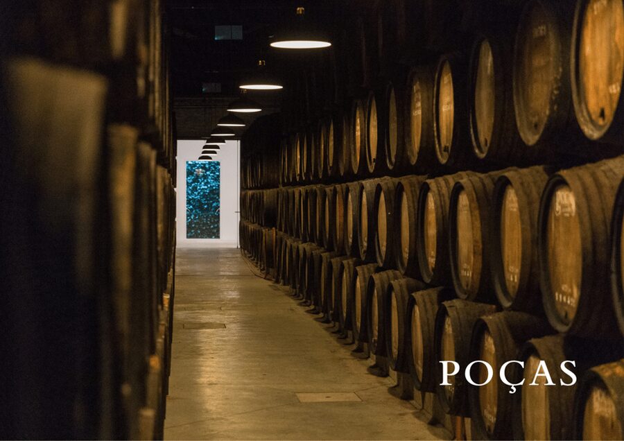 Vila Nova de Gaia: Winery Tour with 2 DOC Douro & 1 Port - Tasting the two DOC Douro wines