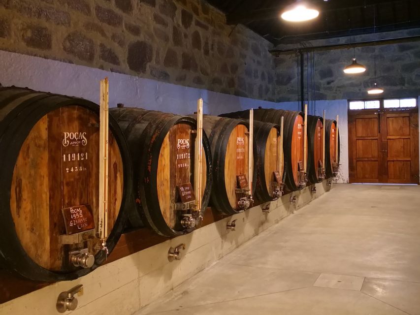 Vila Nova de Gaia: Winery Tour with 2 DOC Douro & 1 Port - Who will get the most from this visit