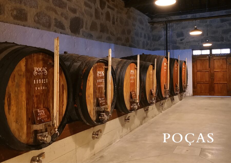 Vila Nova de Gaia: Winery Tour with 2 DOC Douro & 1 Port - Inside a cellar with more than 100 years of aging