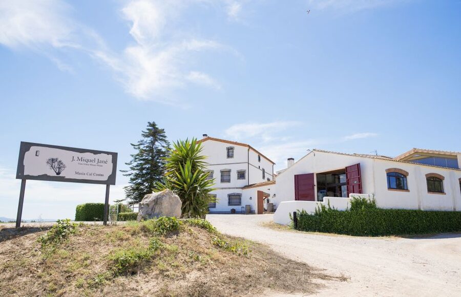 Vilafranca del Penedès: Winery Visit with Tastings - Key points at a glance