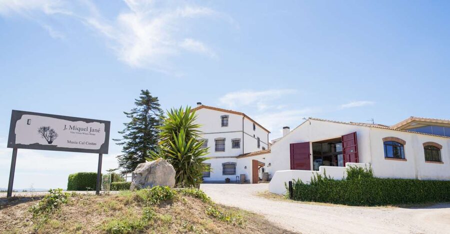 Vilafranca del Penedès: Winery Visit with Tastings - A family winery in the Alt Penedès countryside