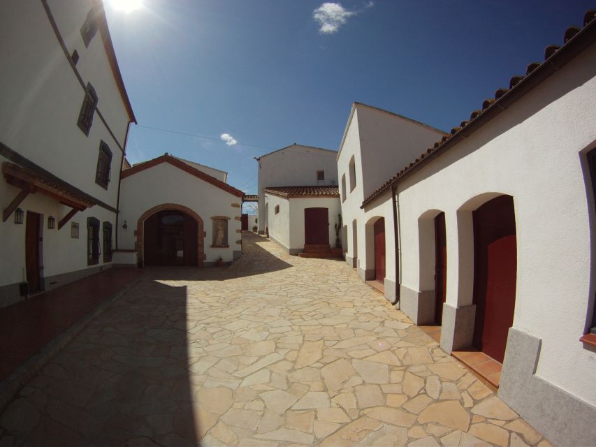 Vilafranca del Penedès: Winery Visit with Tastings - Four wines and a Catalan-style aperitif