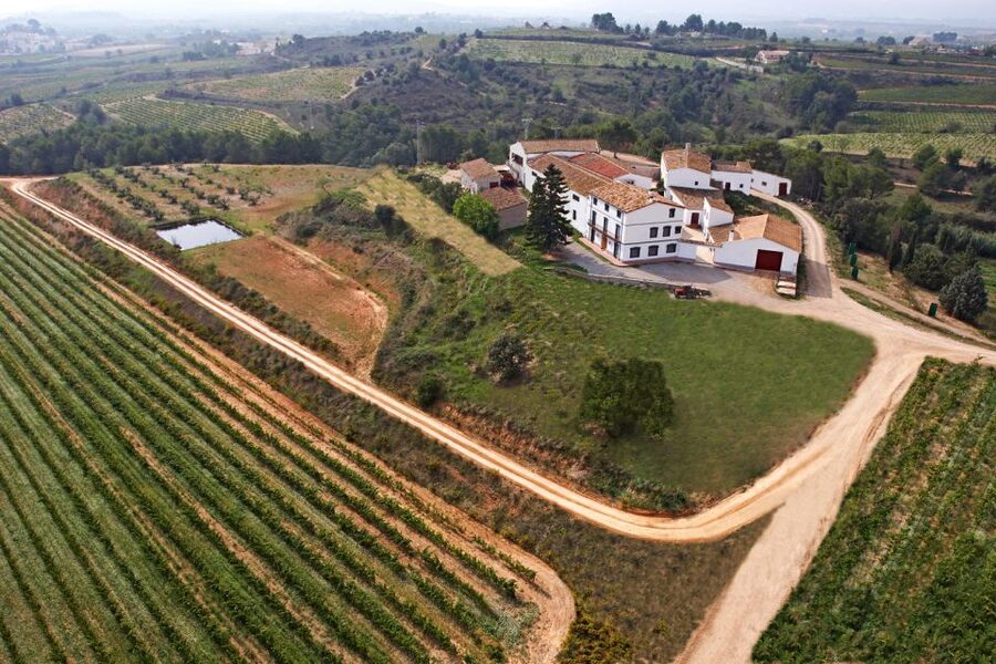 Vilafranca del Penedès: Winery Visit with Tastings - What $41 gets you