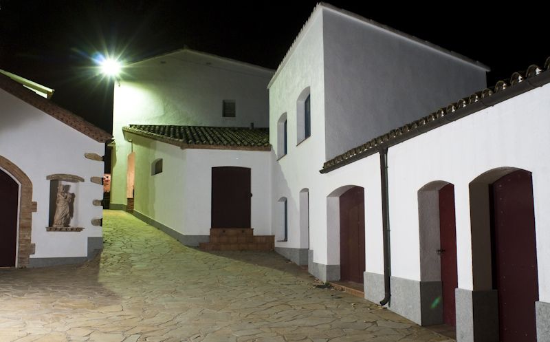 Vilafranca del Penedès: Winery Visit with Tastings - Guides, languages, and the tone of the visit