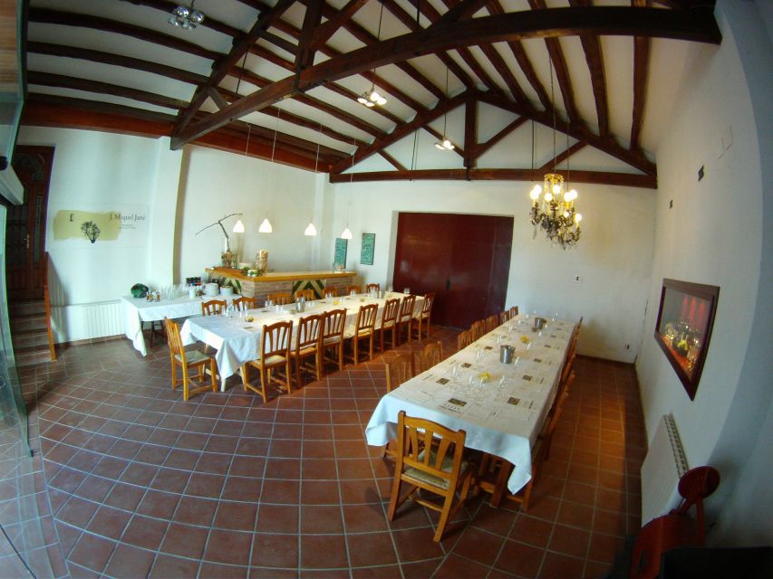 Vilafranca del Penedès: Winery Visit with Tastings - Walking the vineyard before the tasting