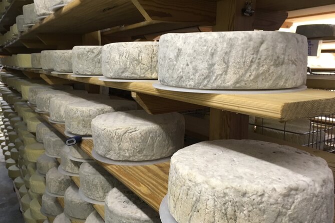 Vineyard & Cheesemaker Bus Tour of Sussex - High Weald Dairy turns lunch into the main meal