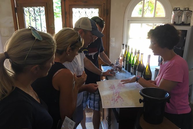 Vineyard cycle tours in and around Chinon, in the Loire Valley - Key points to know before booking