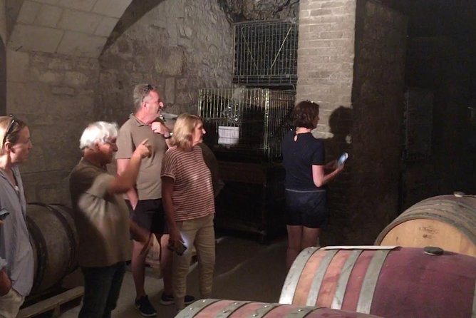 Vineyard cycle tours in and around Chinon, in the Loire Valley - Wineries, caves, and Chinon in the glass