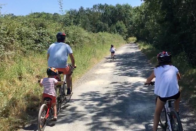 Vineyard cycle tours in and around Chinon, in the Loire Valley - A local picnic in the middle of the ride
