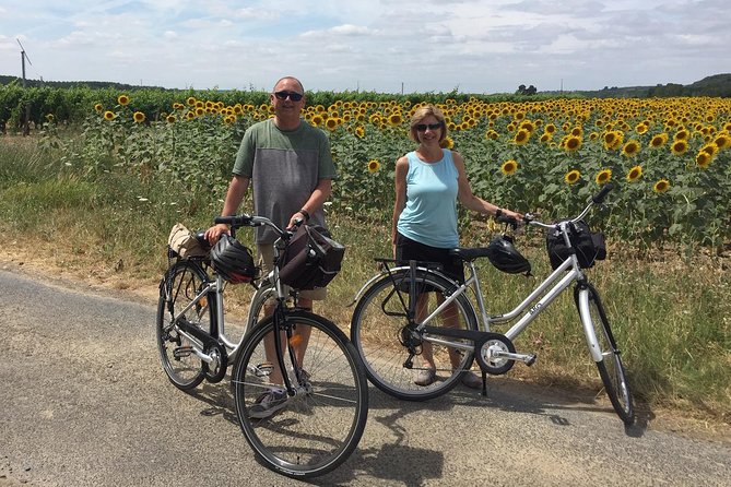 Vineyard cycle tours in and around Chinon, in the Loire Valley - The guide makes the difference
