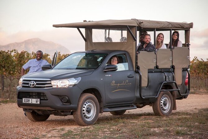 Vineyard Safari and Wine Tasting in Hermanus with Guide - Key points at a glance