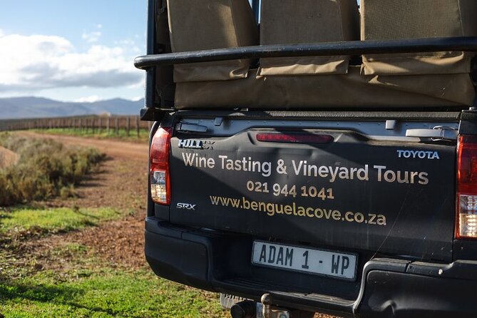 Vineyard Safari and Wine Tasting in Hermanus with Guide - Ocean-facing vines at very low altitude