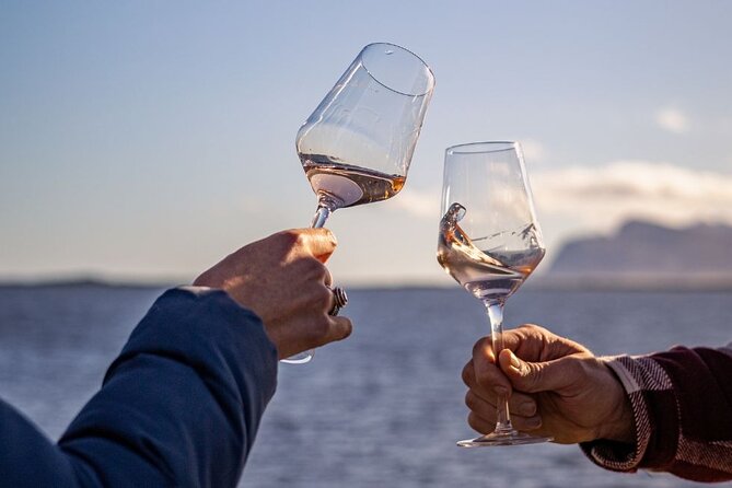 Vineyard Safari and Wine Tasting in Hermanus with Guide - Price, group size, and practical value