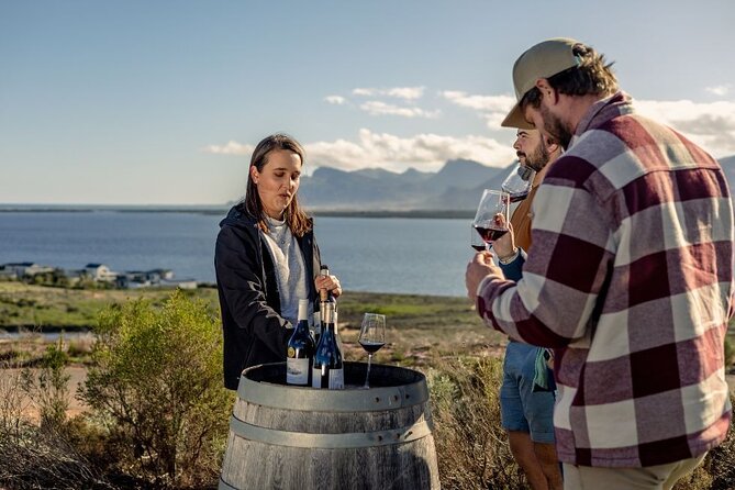 Vineyard Safari and Wine Tasting in Hermanus with Guide - Who will enjoy this experience most