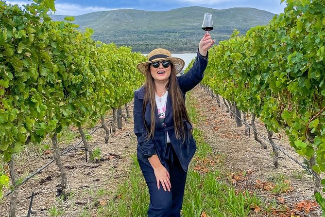 Vineyard Safari and Wine Tasting in Hermanus with Guide - Is the Benguela Cove vineyard safari worth booking?