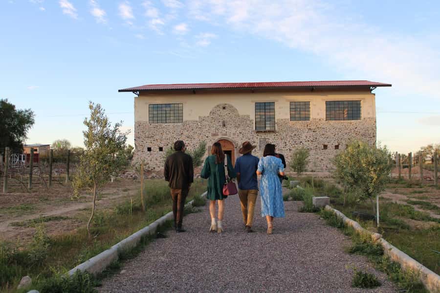 VINEYARD TOUR - Two vineyards, two ways to understand Mexican wine
