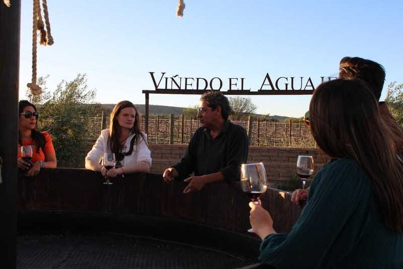 VINEYARD TOUR - Timing the day and handling the practical details