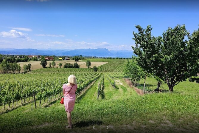 Vineyard Tour and Tasting of Lugana Wines - Why Lugana makes this tasting worth your time